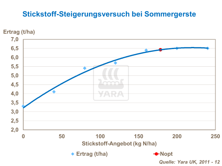 Stickstoffsteigerungsversuch bei Sommergerste