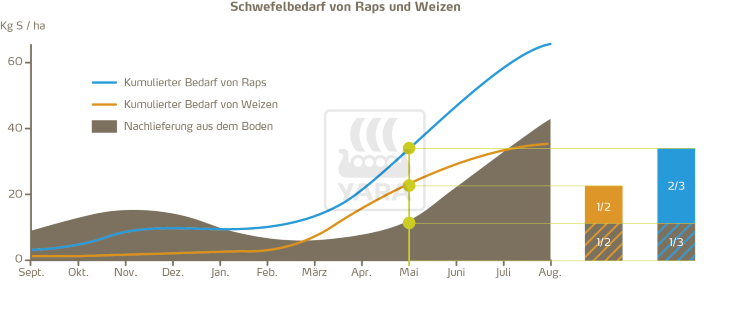Während der Vegetationsperiode geht der Schwefelbedarf von Raps und Weizen weit über den vom Boden gelieferten Schwefel hinaus. Im Mai fehlt es Weizen typischerweise an der Hälfte des Schwefelbedarfs, Raps sogar an zwei Dritteln.