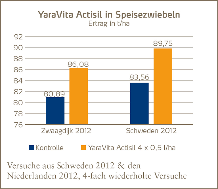YV Actisil erhöht den Speisezwiebel-Ertrag.png