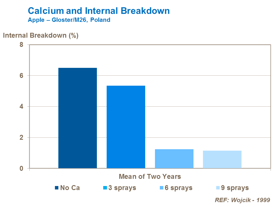 Calcium and Internal Breakdown