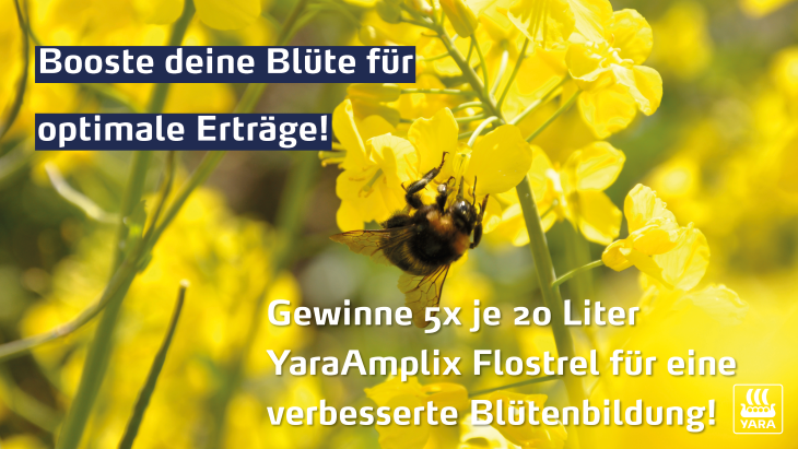 Gewinnspiel dritter Advent