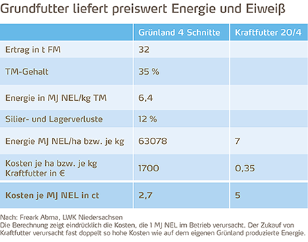 Grundfutter liefert preiswert Energie und Eiweiß