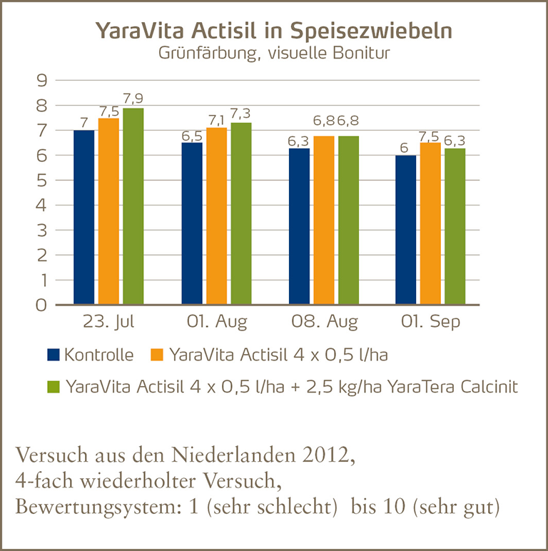 Abbildung YV Actisil in Speisezwiebeln Grünfärbung.png