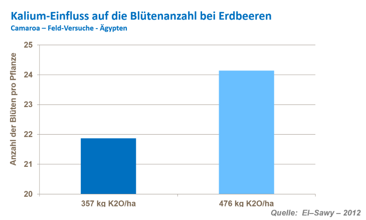 Fruchtzahl bei Erdbeeren 1.png