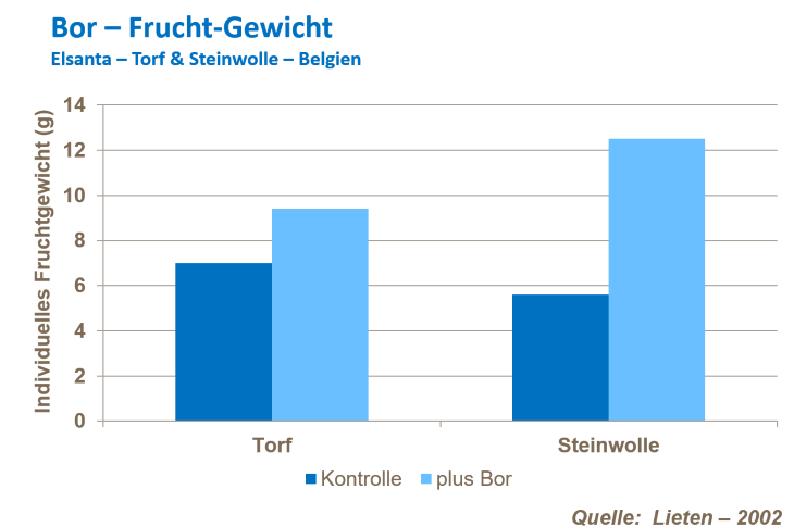 Fruchtzahl bei Erdbeeren 4.png
