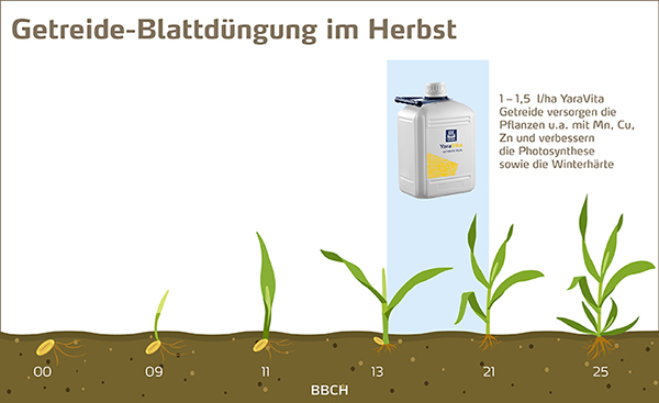 Blattdüngestrategie Herbst für Getreide