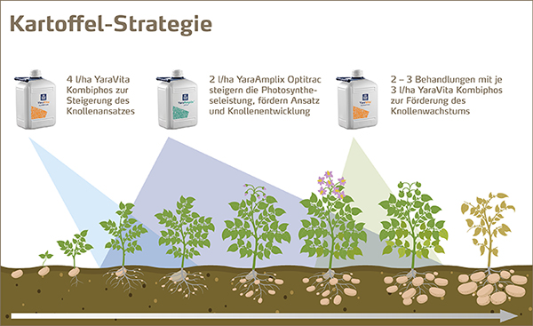 Blattdüngungs-Strategie in Kartoffeln