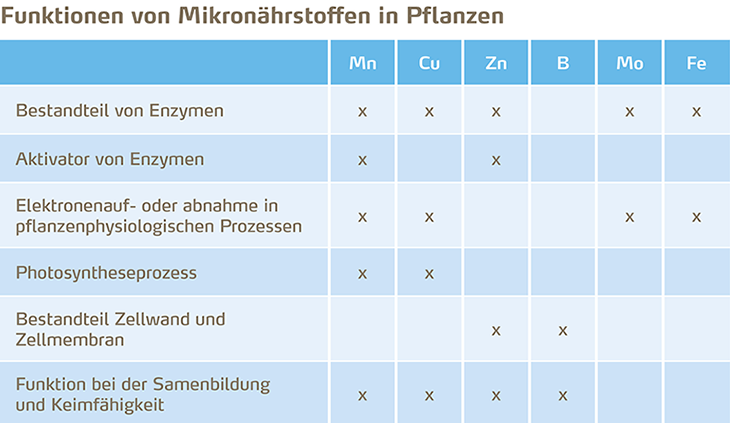 Funktion Mikronährstoffe