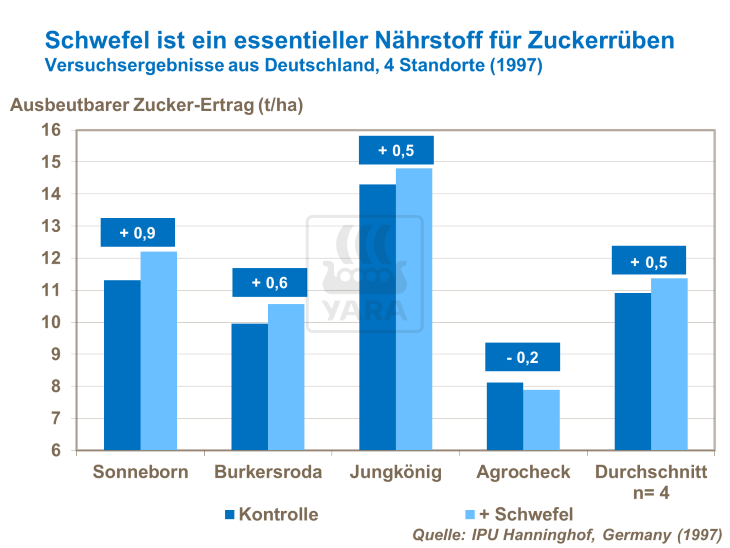 Schwefel ist ein essentieller Nährstoff für Zuckerrüben