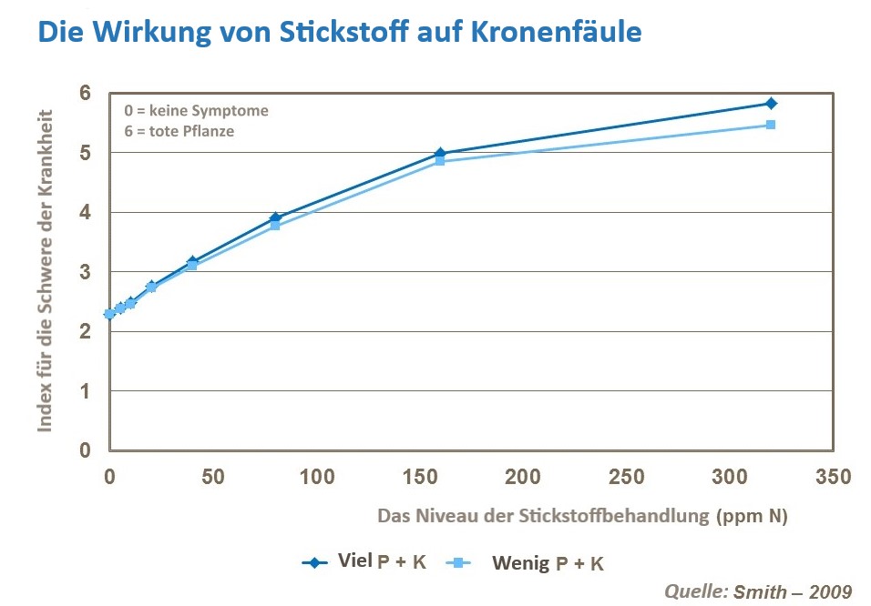 Erdbeer-Gesundheit 1 &  Erdbeerqualität 3.jpg