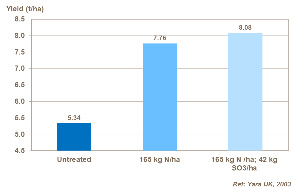 The benefit of sulphur on a six row winter barley