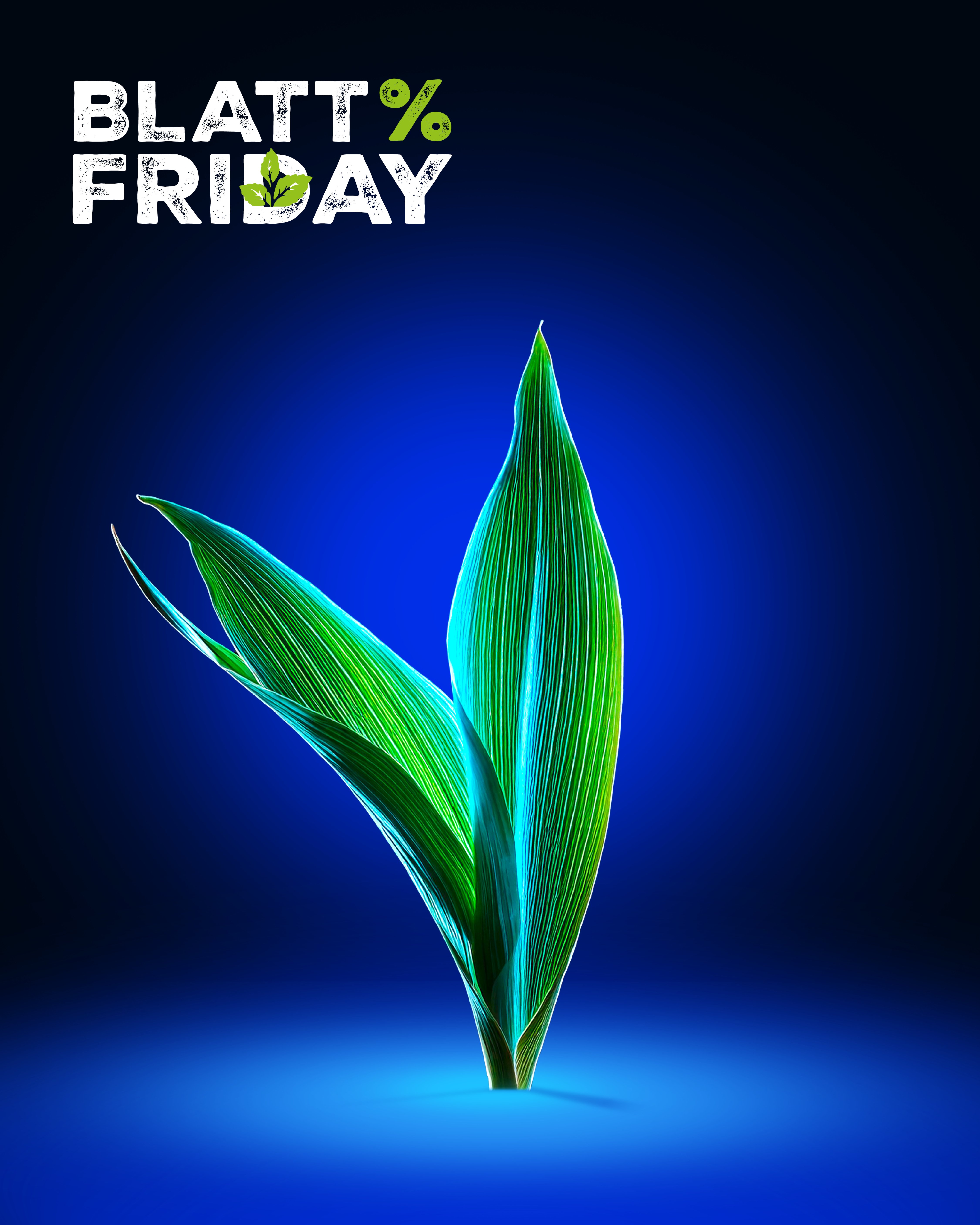 Der Yara Blatt Friday ist gestartet!