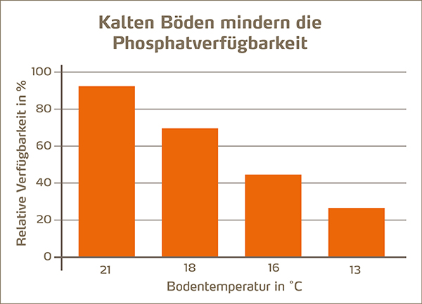 Kalte Böden mindern die P-Verfügbarkeit