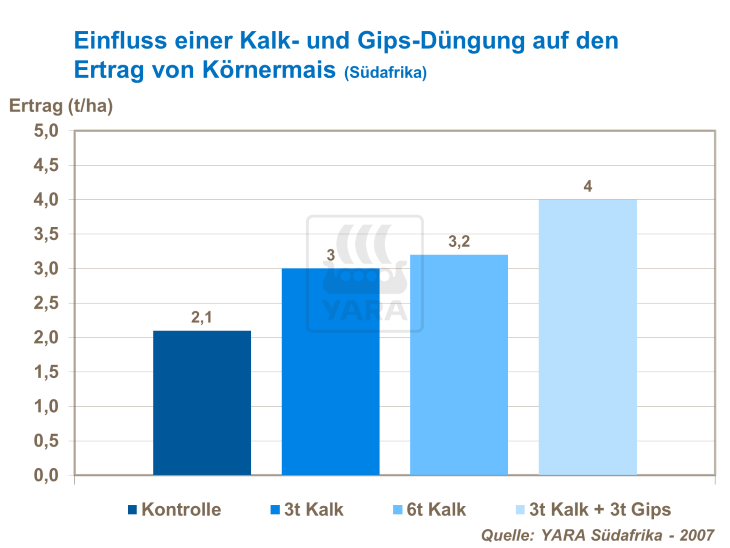 Einfluss einer Kalk- und Gips-Düngung auf den Ertrag von Körnermais