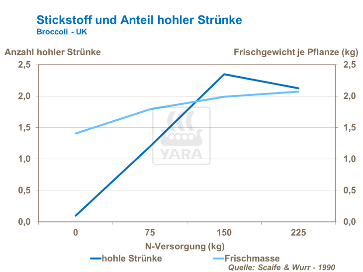 Stickstoff und Anteil hohler Strünke