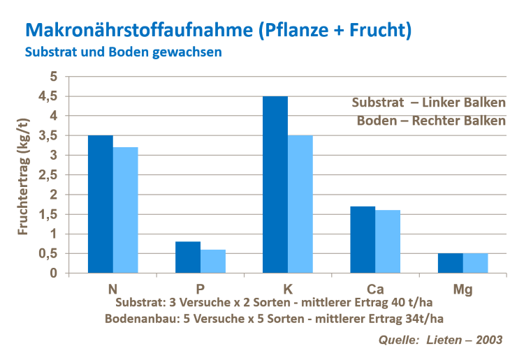 Erdbeerertrag erhöhen b.png