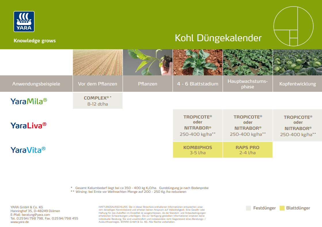 Düngekalender für Kohl