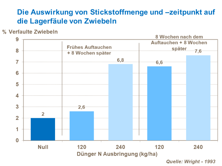 Die Auswirkung von der Stickstoffmenge und dem -zeitpunkt auf die Lagerfäule von Zwiebeln