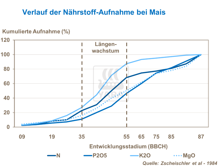 Verlauf der Nährstoff-Aufnahme bei Mais