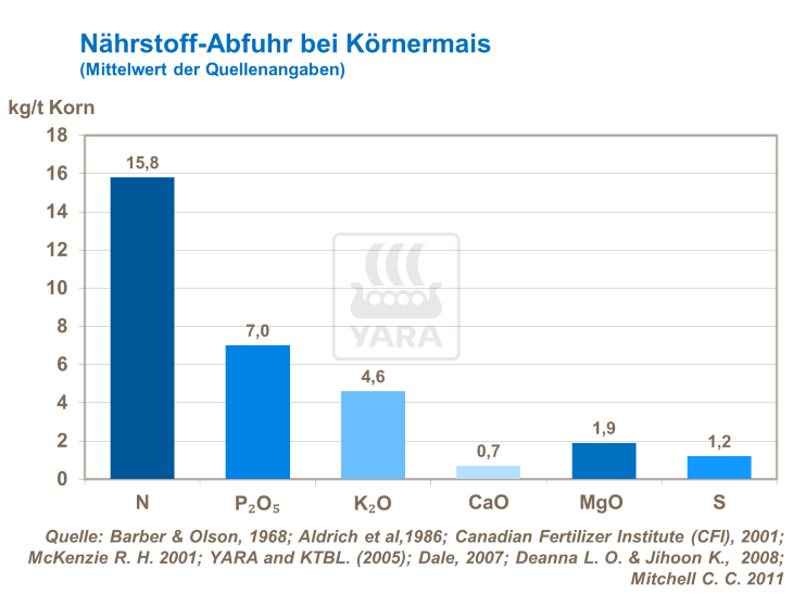Nährstoff-Abfuhr bei Körnermais 