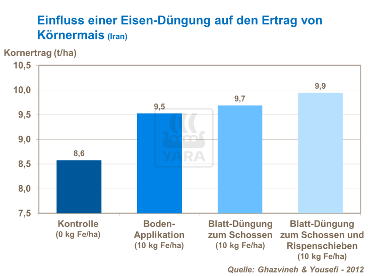Einfluss einer Eisen-Düngung auf den Ertrag von Körnermais (Iran)