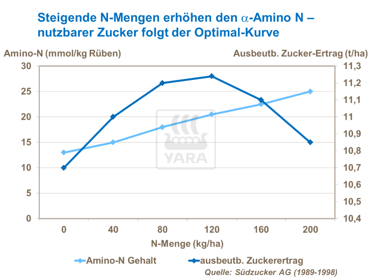 Steigende N-Mengen erhöhen den a-Amino N