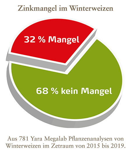 Zinkmangel im Winterweizen_450pix.jpg