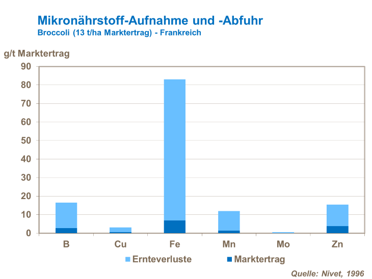 Mikronährstoff-Aufnahme und Abfuhr