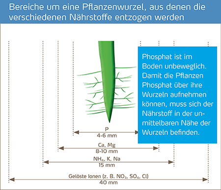 Beeren-News 01-2021 Abb neu2_450px.png