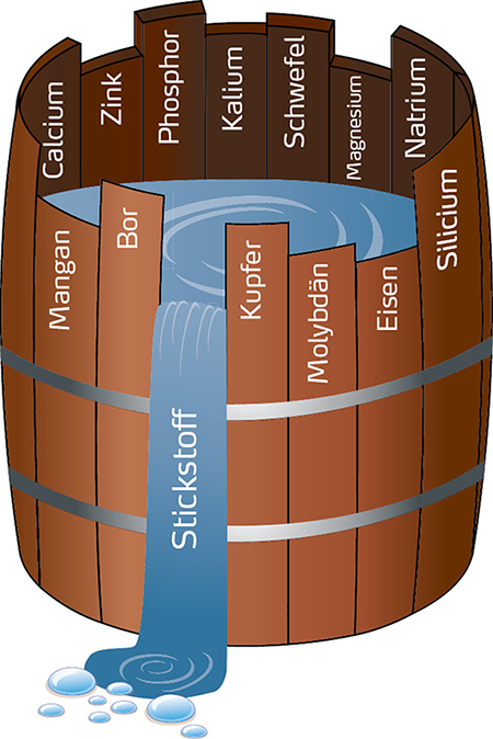 Nitratdüngung_aktuell_YM NPK_07-2021_Liebig Tonne_450px.png