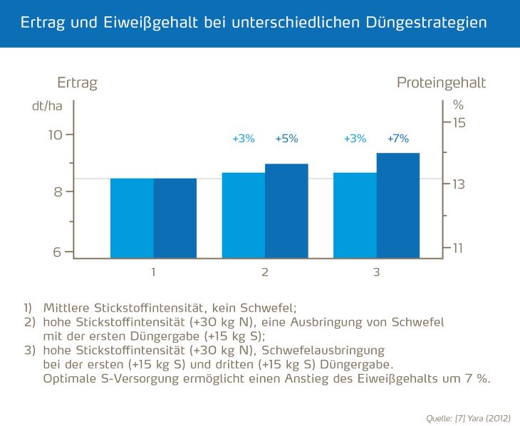 Ertrag und Eiweißgehalt bei unterschiedlichen Düngestrategien.jpg