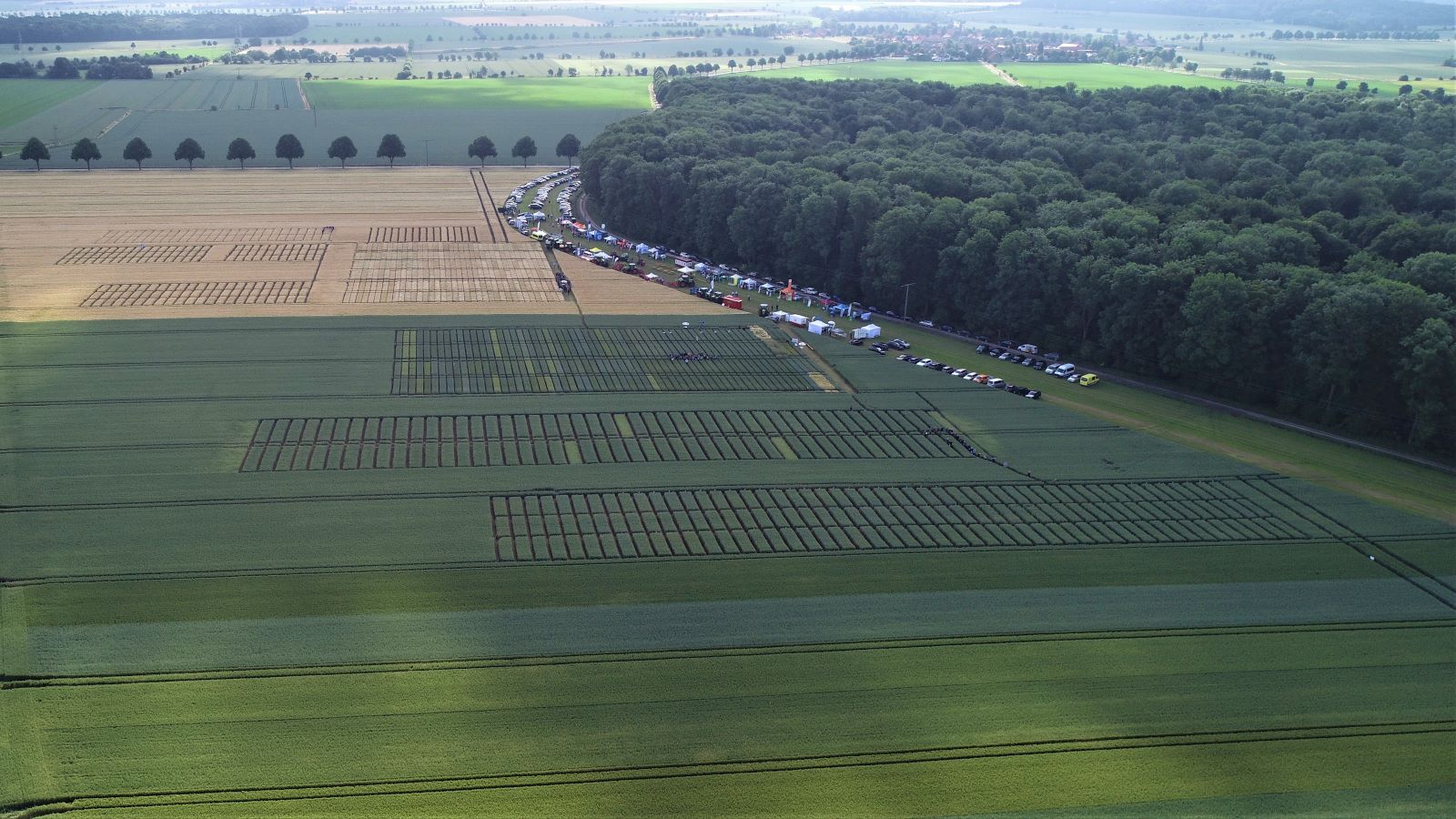 Feldtag Landberatung Harzvorland 2024