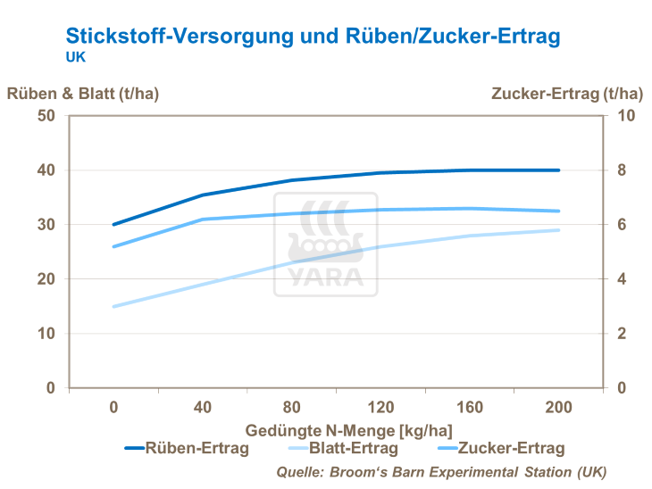 Stickstoff-Versorgung und Rüben/Zucker-Ertrag