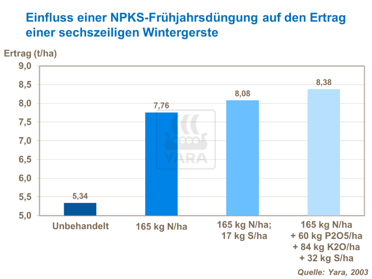 Einfluss einer NPKS-Frühjahrsdüngung auf den Ertrag einer sechszeiligen Wintergerste