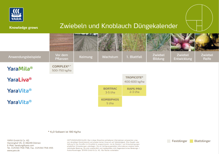 Düngekalender für Zwiebeln