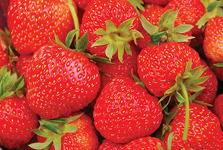 strawberry closeup 3_450px.png
