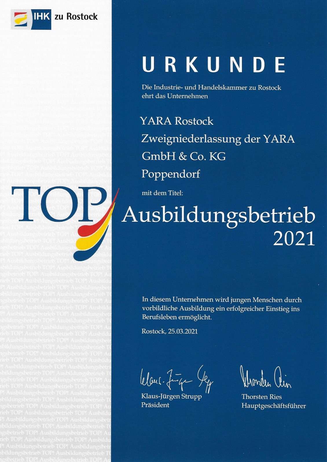 Urkunde Rostock.jpg